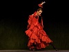 NYC Flamenco dancer
