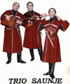 Georgian trio Saunje
