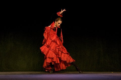 flamenco, New york