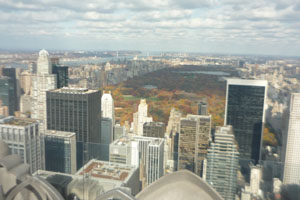 vew from the Top ot the Rock, NYC. 11-11-2011