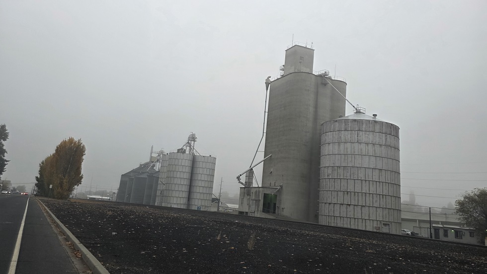 Barynya Trio, 11-17-2025, Columbia Ridge Elementary School, Ephrata, Washington, 60 H St SE, Ephrata, WA 98823